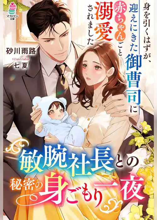 敏腕社長との秘密の身ごもり一夜～身を引くはずが、迎えにきた御曹司に赤ちゃんごと溺愛されました～