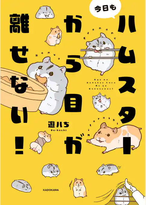 今日もハムスターから目が離せない!