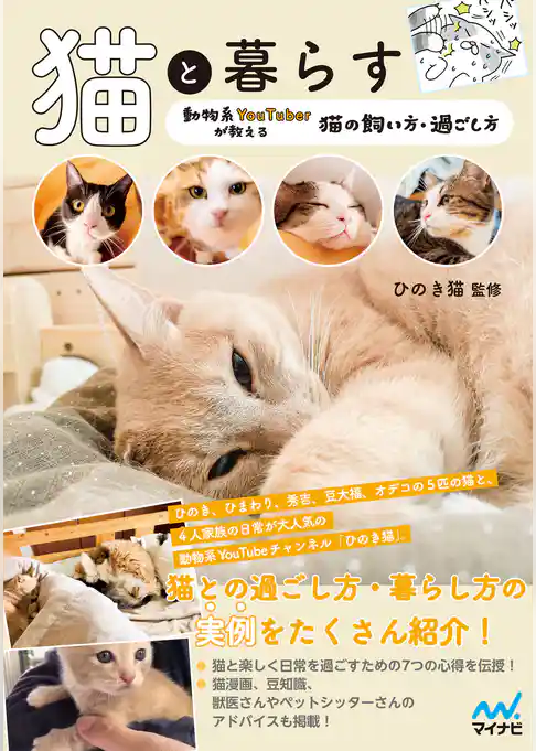 猫と暮らす 動物系YouTuberが教える猫の飼い方・過ごし方
