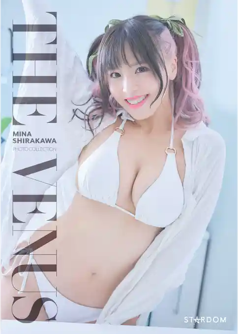 白川未奈 写真集 THE VENUS
