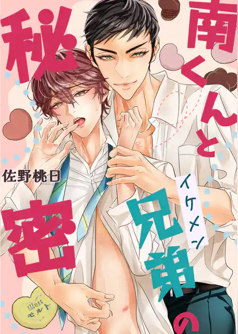 南くんとイケメン兄弟の秘密
