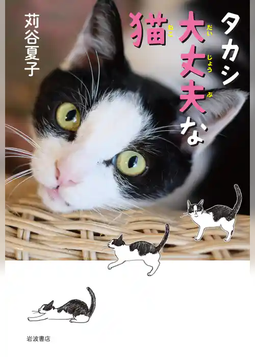 タカシ　大丈夫な猫