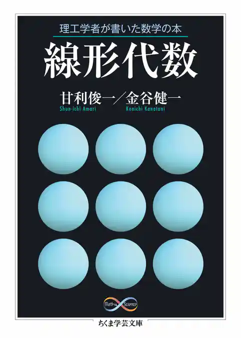 理工学者が書いた数学の本　線形代数