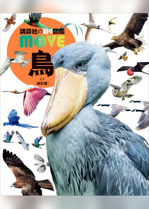 鳥　新訂版