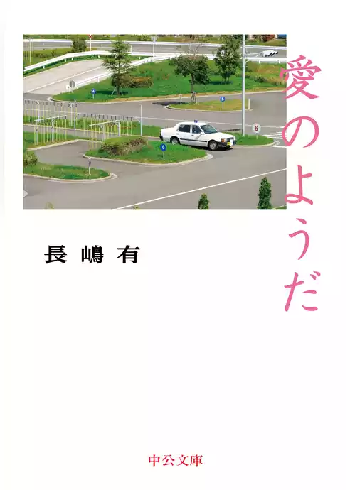 愛のようだ