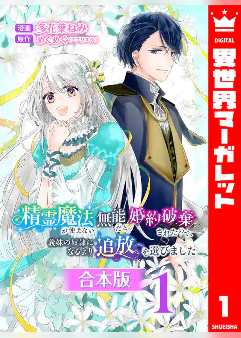 精霊魔法が使えない無能だと婚約破棄されたので、義妹の奴隷になるより追放を選びました