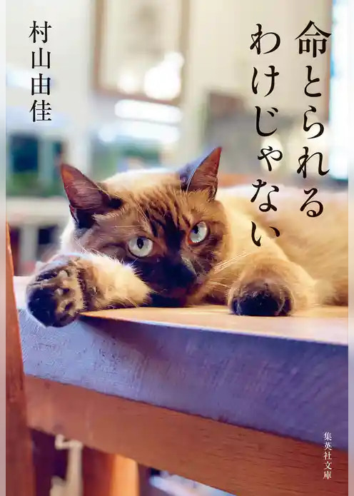 命とられるわけじゃない