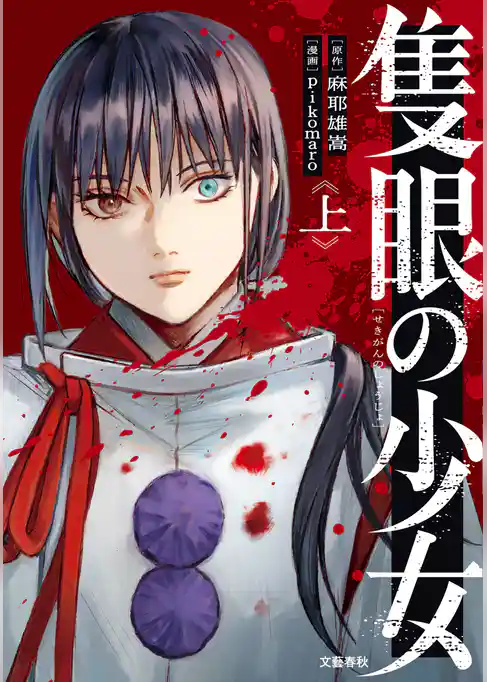隻眼の少女 上