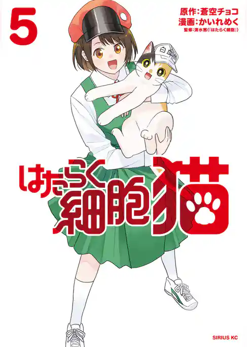 はたらく細胞　猫