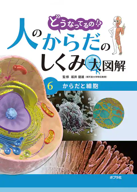 どうなってるの！？　人のからだのしくみ大図解