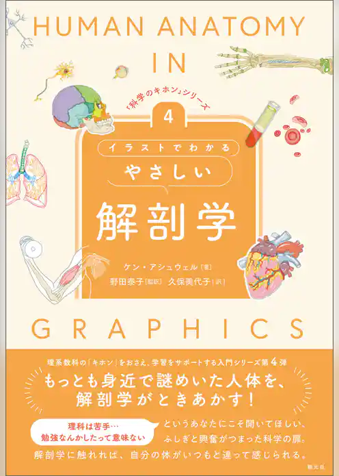 イラストでわかるやさしい解剖学