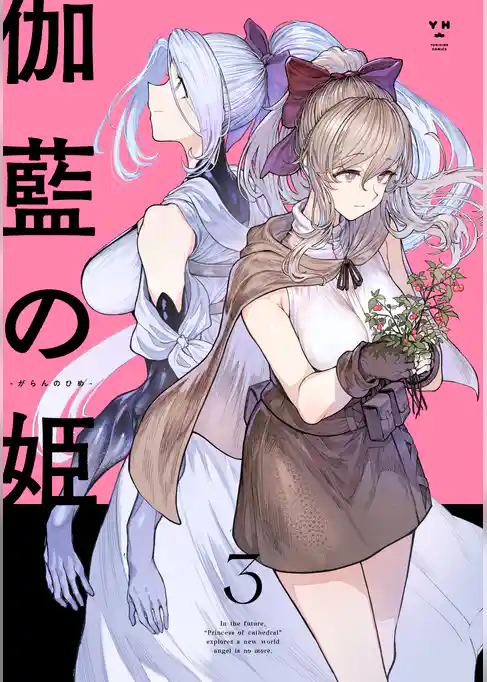 伽藍の姫 -がらんのひめ-