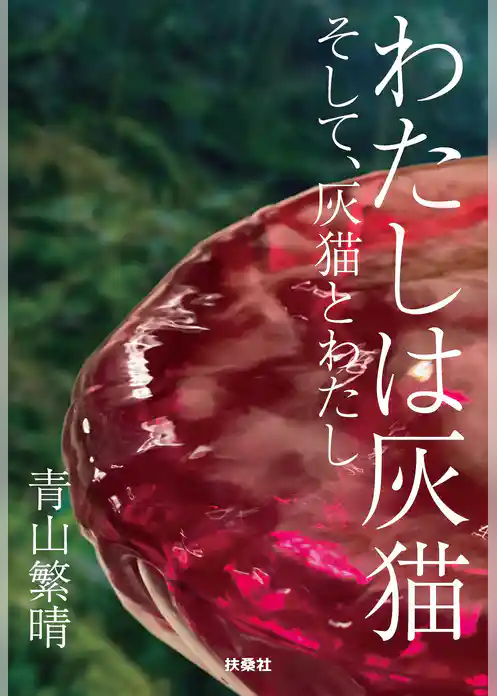 わたしは灰猫　そして、灰猫とわたし