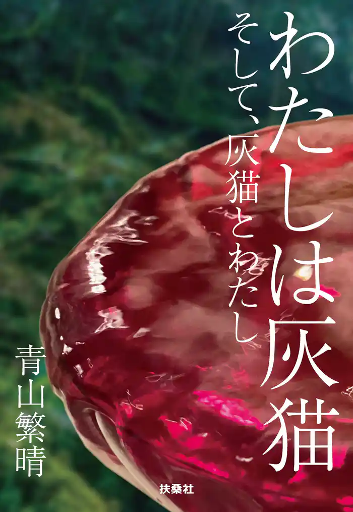 わたしは灰猫 そして、灰猫とわたし