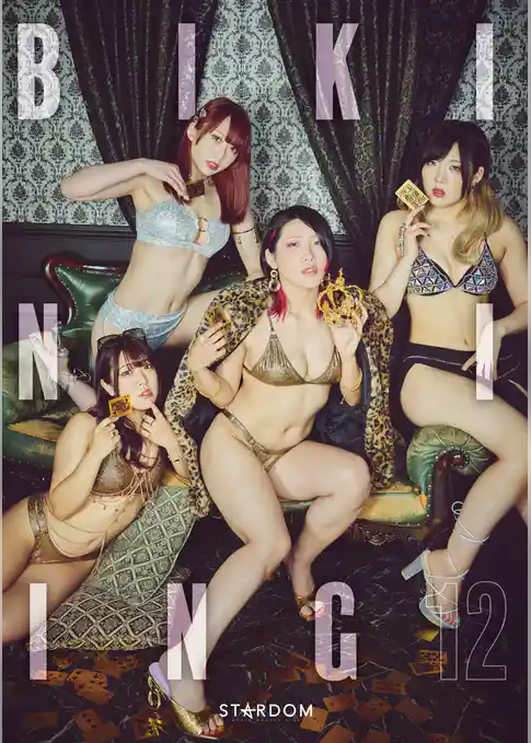 Bikiniing12 STARDOM VISUAL BOOK