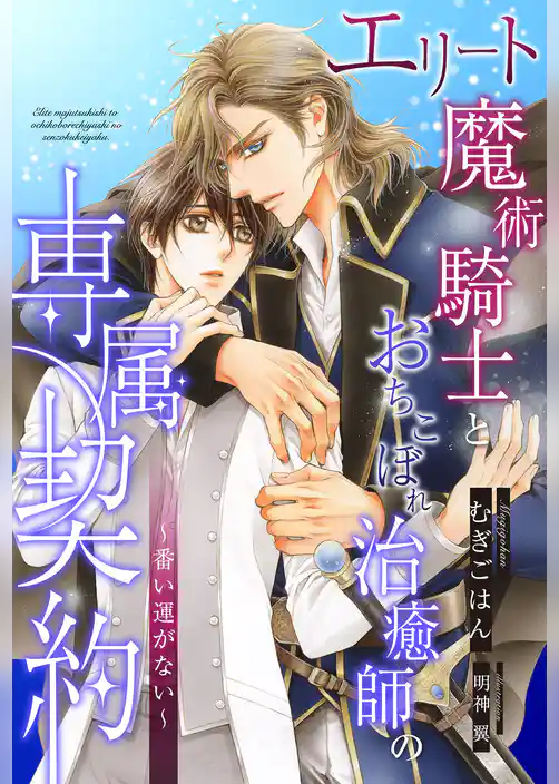 【全1-6セット】エリート魔術騎士とおちこぼれ治癒師の専属契約　～番い運がない～【イラスト付】