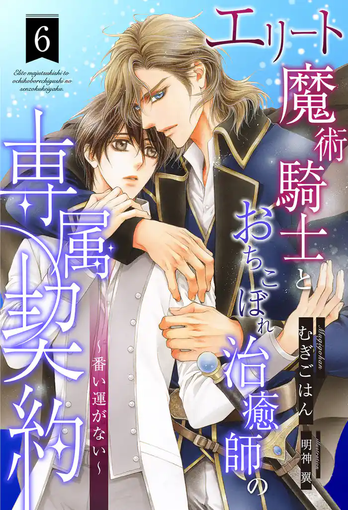 エリート魔術騎士とおちこぼれ治癒師の専属契約 ~番い運がない~【6】