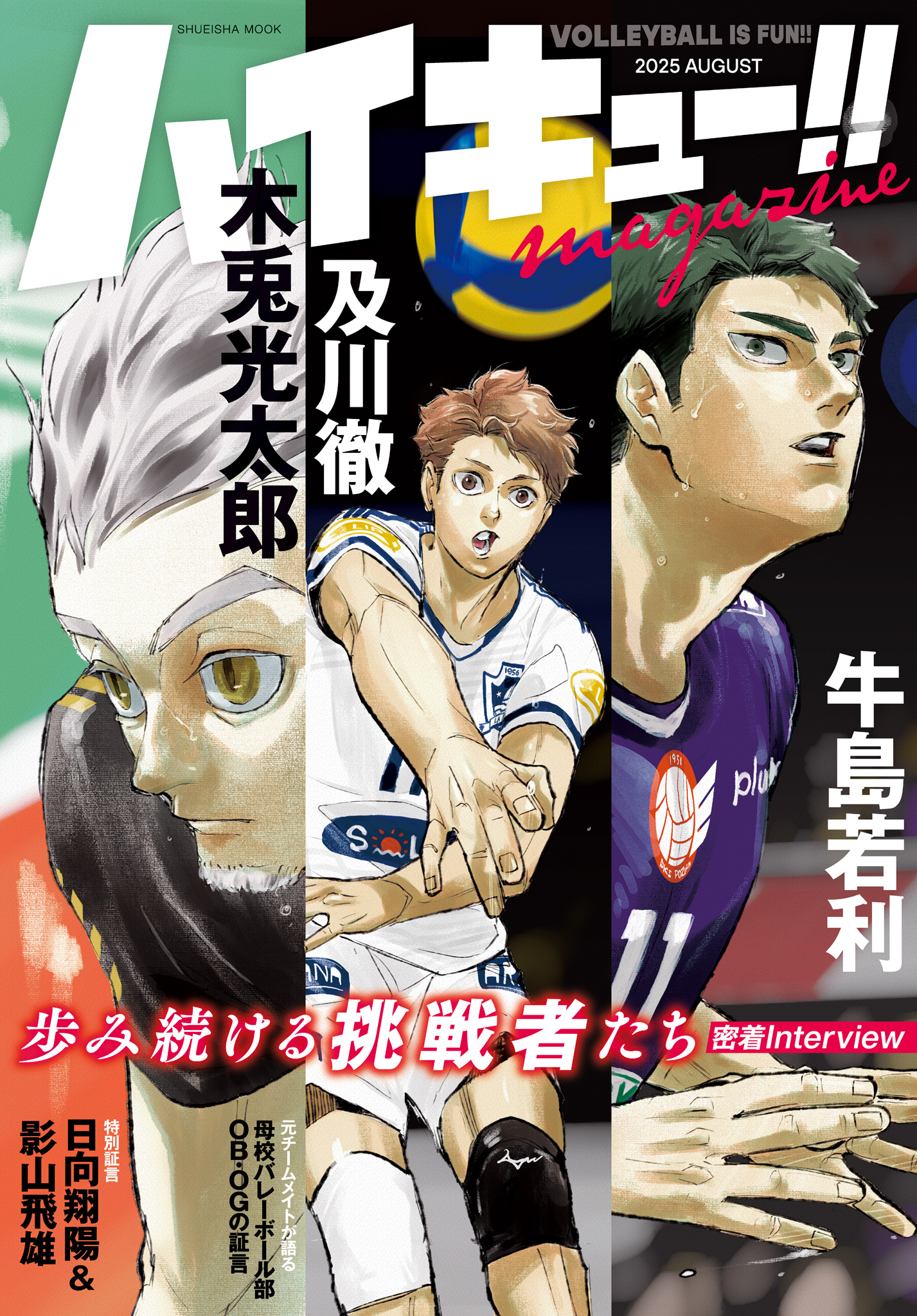 ハイキュー！！ カラー版(マンガ) - 電子書籍 | U-NEXT 初回600円分無料
