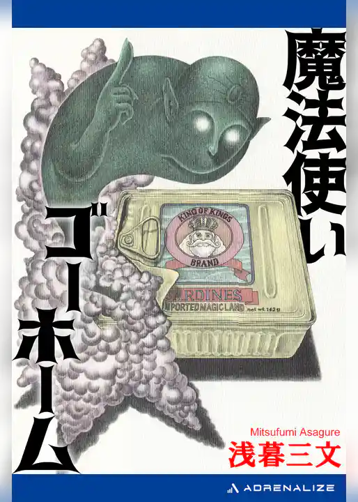 魔法使いゴーホーム