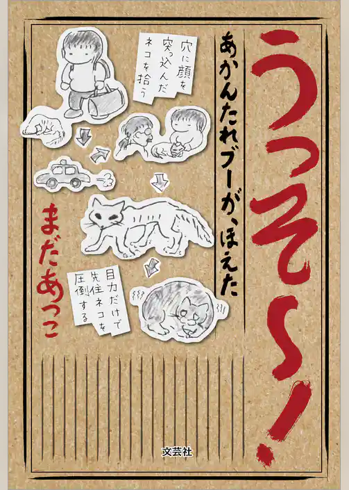 うっそ~! あかんたれブーが、ほえた