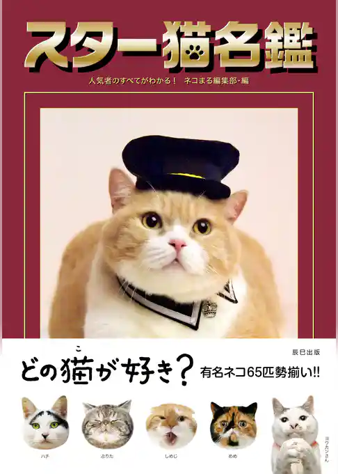 スター猫名鑑