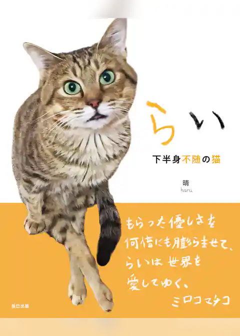 らい　下半身不随の猫