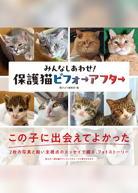 みんなしあわせ！ 保護猫ビフォーアフター