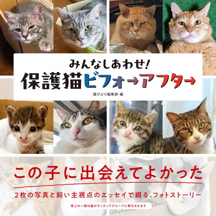 みんなしあわせ! 保護猫ビフォーアフター