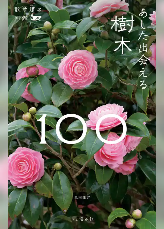 散歩道の図鑑 あした出会える樹木100