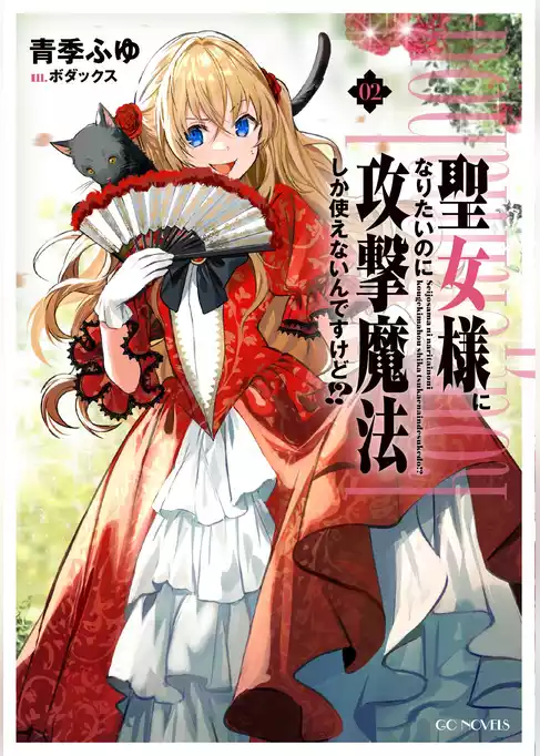 聖女様になりたいのに攻撃魔法しか使えないんですけど！？