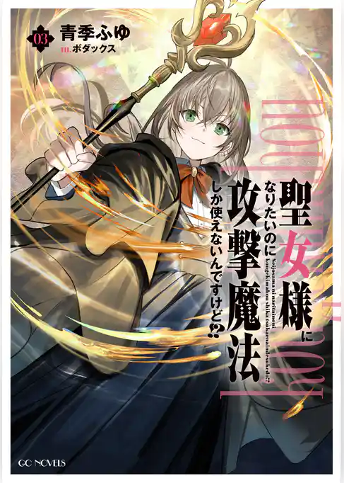 聖女様になりたいのに攻撃魔法しか使えないんですけど！？