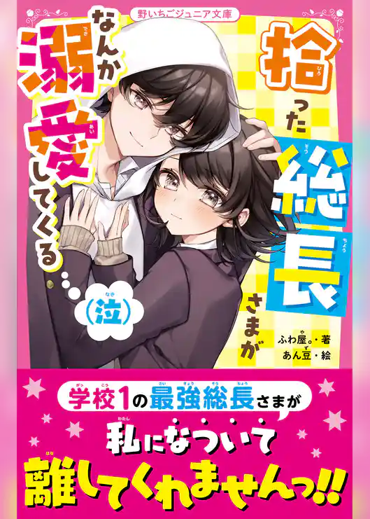 拾った総長さまがなんか溺愛してくる(泣)