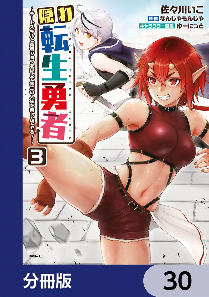 隠れ転生勇者 ～チートスキルと勇者ジョブを隠して第二の人生を楽しんでやる！～【分冊版】　30