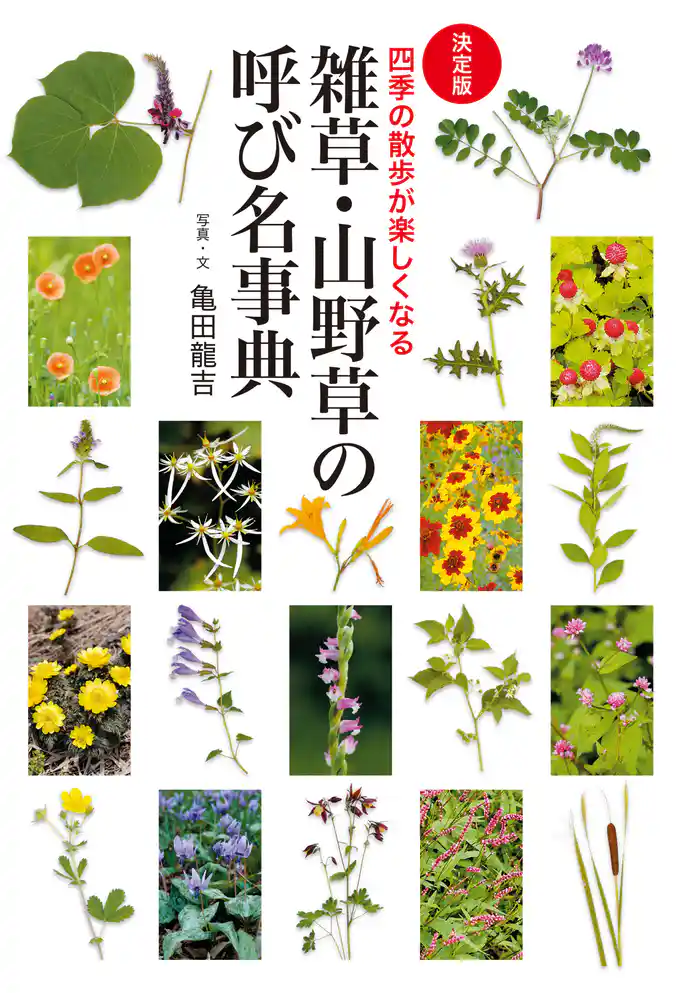 [決定版]雑草・山野草の呼び名事典 四季の散歩が楽しくなる
