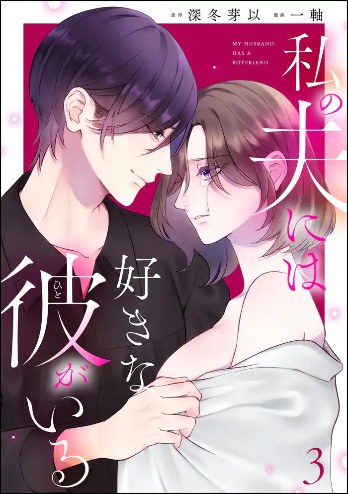 私の夫には好きな彼がいる　（3）