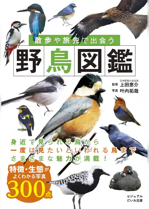 散歩や旅先で出会う野鳥図鑑