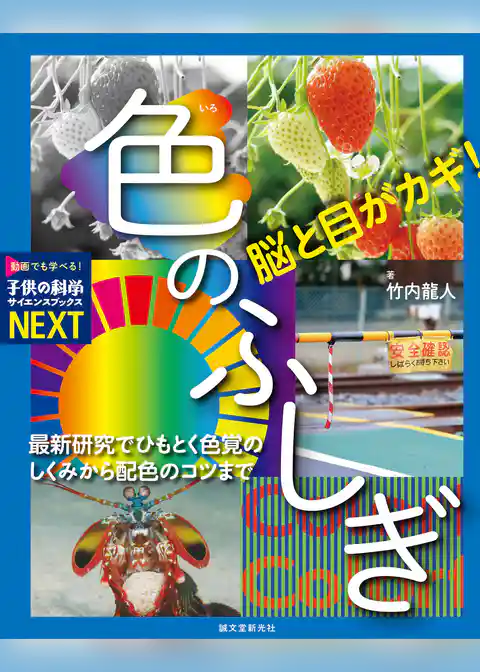 脳と目がカギ！ 色のふしぎ：最新研究でひもとく色覚のしくみから配色のコツまで