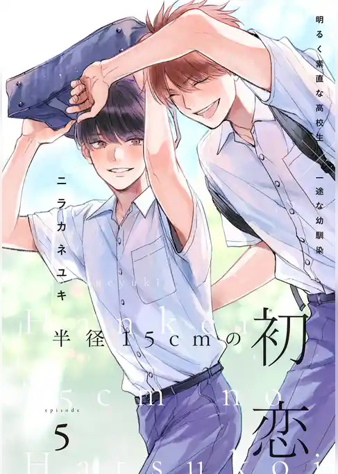 半径15cmの初恋　分冊版