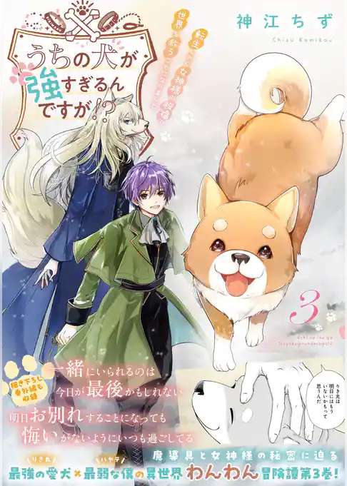 うちの犬が強すぎるんですが！？