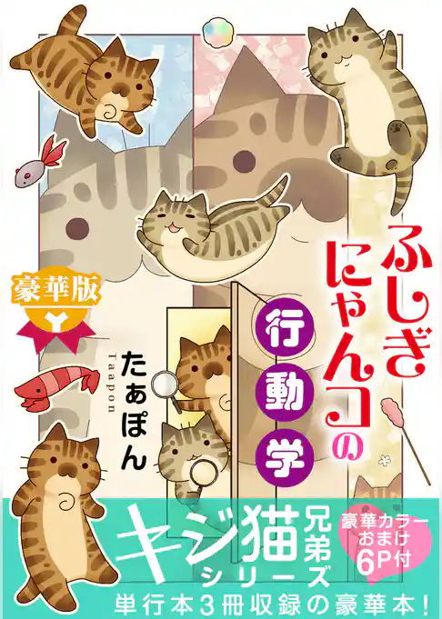 ふしぎにゃんコの行動学【豪華版】