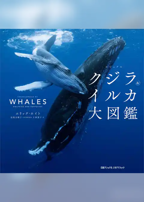 ビジュアル クジラ&イルカ大図鑑