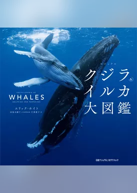 ビジュアル クジラ＆イルカ大図鑑
