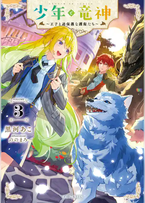 少年と竜神～王子と過保護な護衛たち～