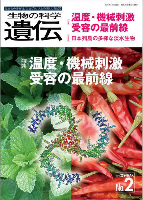 生物の科学 遺伝 2024年3月発行号 Vol.78 No.2
