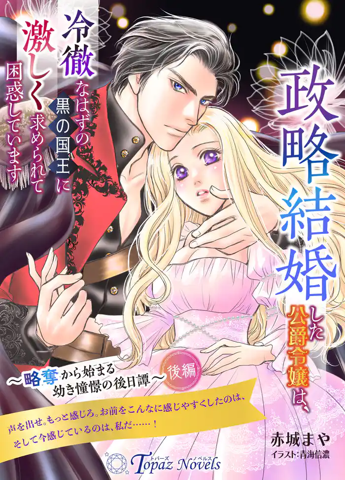 政略結婚した公爵令嬢は、冷徹なはずの黒の国王に激しく求められて困惑しています~略奪から始まる幼き憧憬の後日譚~ 後編