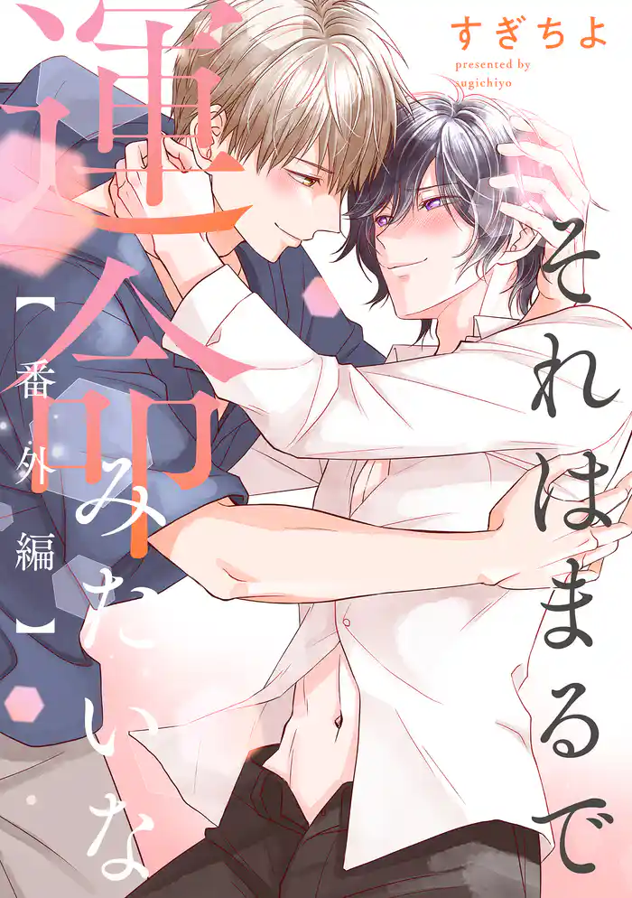 それはまるで運命みたいな【番外編】