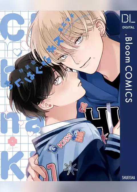 特装版 ちぐはぐなキス【電子限定描き下ろし付き】