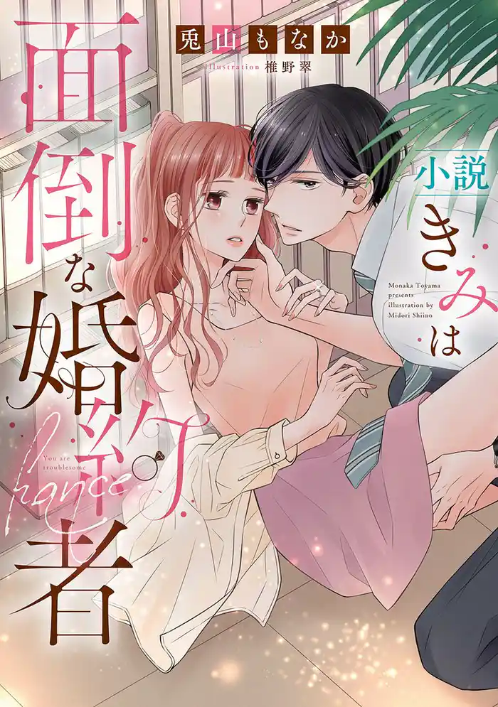 小説 きみは面倒な婚約者