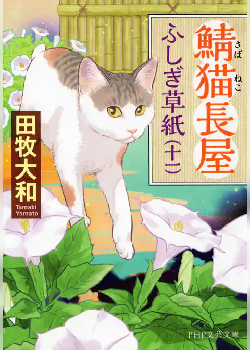 鯖猫長屋ふしぎ草紙