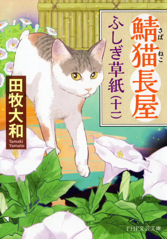 鯖猫長屋ふしぎ草紙(十一)